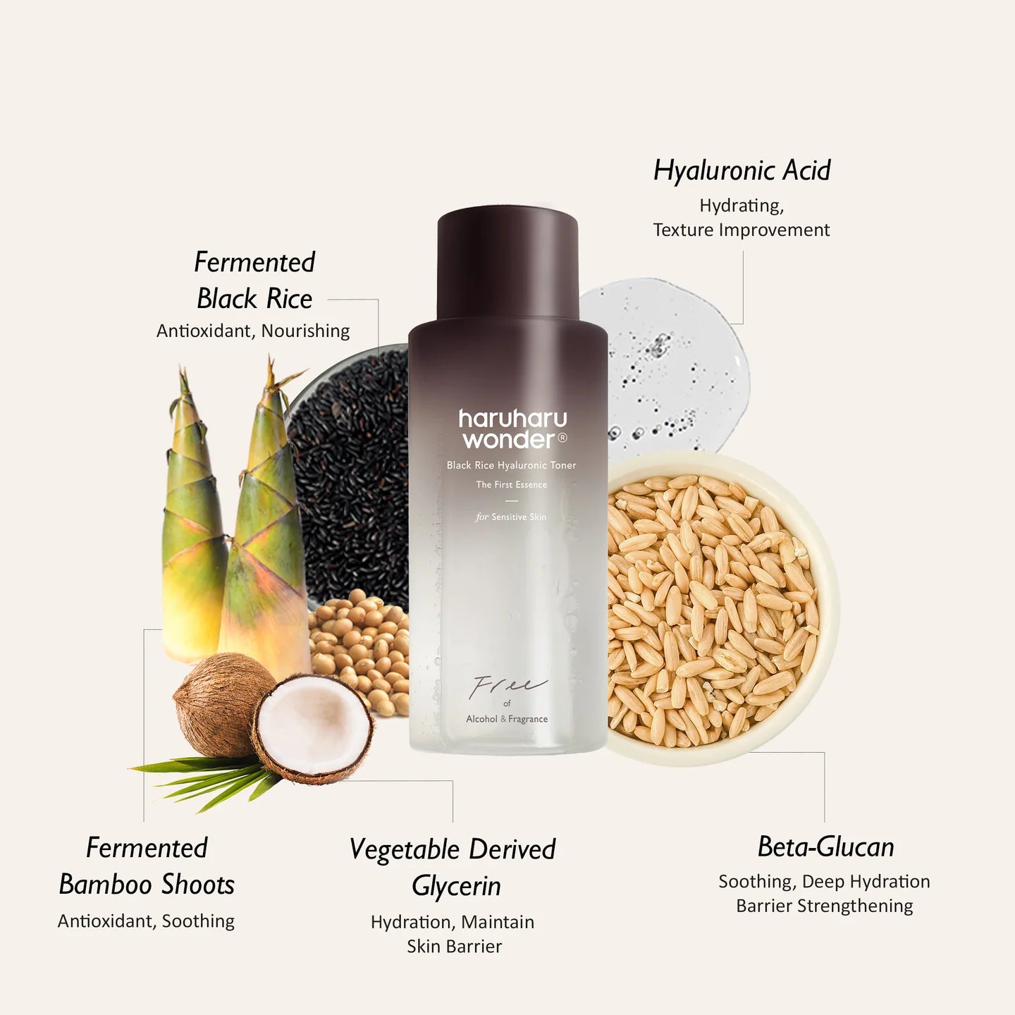 Black Rice Hyaluronic Toner